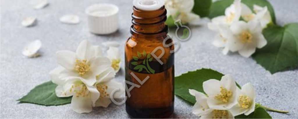 Jasmine Grandiflorum Floral Absolute Oil benefit